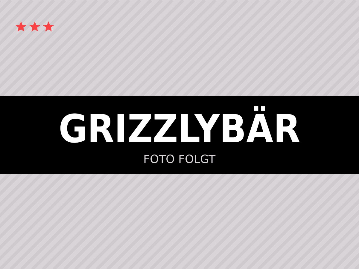 Platzhalter: Foto der Ferienwohnung Grizzlybär folgt