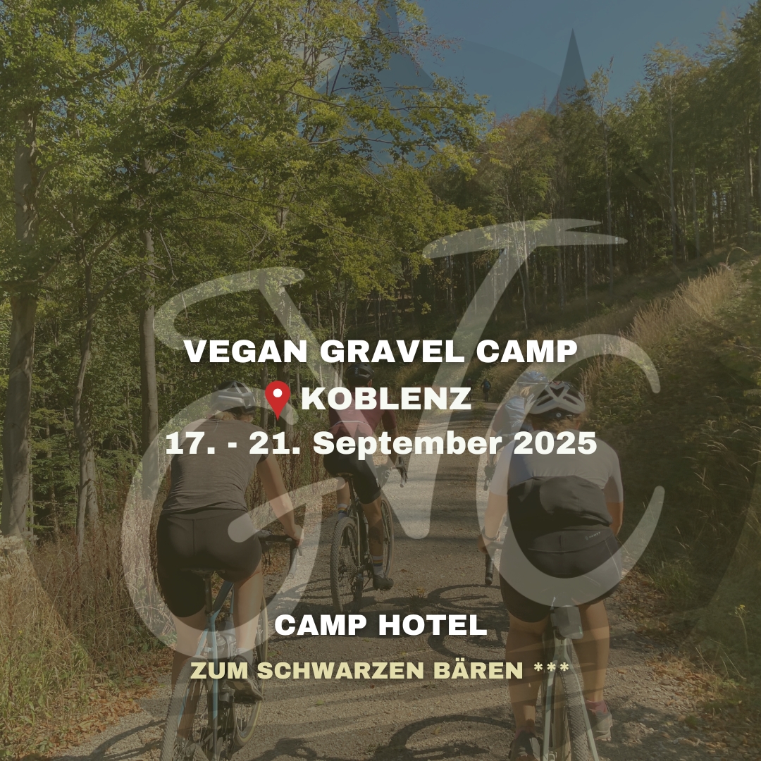 vgc2025_post-website